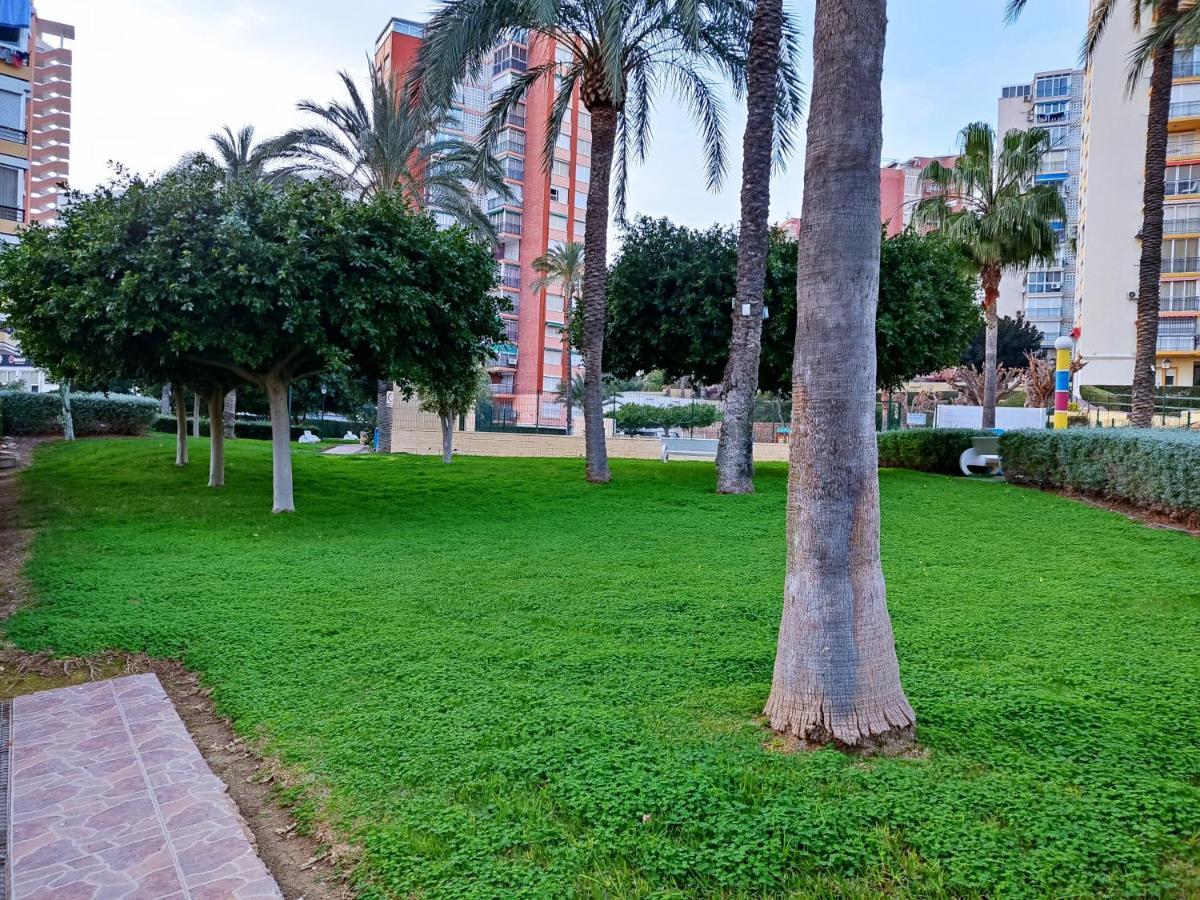 Piso Calleja Benidorm Exteriör bild